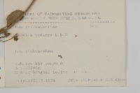 登錄號:S066801藏品圖，第2張