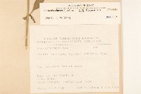 一枝香藏品圖，第2張