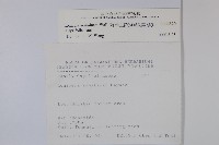 阿里山忍冬、漸尖葉忍冬藏品圖，第2張