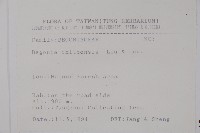 溪頭秋海棠藏品圖，第2張