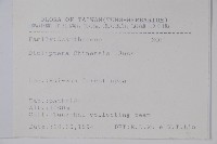 華九頭獅子草藏品圖，第2張