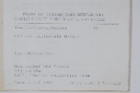 臺東青葙藏品圖，第2張