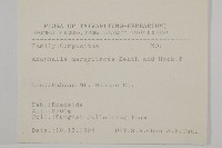 抱莖籟簫藏品圖，第2張