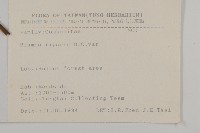 假東風菜藏品圖，第2張