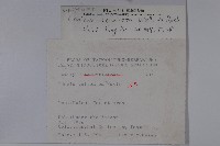 阿里山忍冬、漸尖葉忍冬藏品圖，第2張