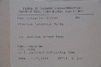 呂宋莢迷藏品圖，第2張