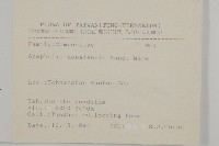 尼泊爾籟簫藏品圖，第2張