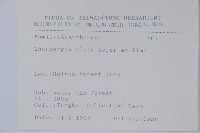 黑眼花藏品圖，第2張