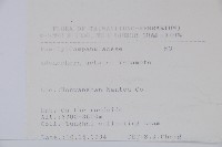 高山沙參藏品圖，第2張