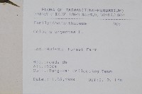 青葙藏品圖，第2張