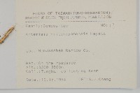 高山艾藏品圖，第2張