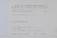 青葙藏品圖，第2張