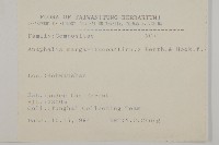 抱莖籟簫藏品圖，第2張