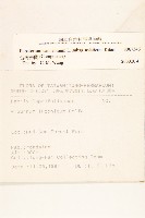 台灣澤蘭藏品圖，第2張