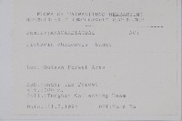 黃連木、爛心木藏品圖，第2張