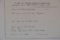 樺葉莢迷、玉山莢迷藏品圖，第2張