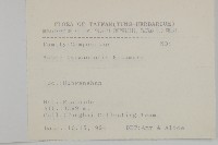 臺灣馬蘭藏品圖，第2張