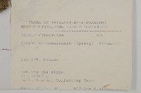 尼泊爾籟簫藏品圖，第2張