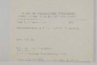 地膽草、毛蓮菜藏品圖，第2張