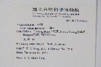 刺莧藏品圖，第2張