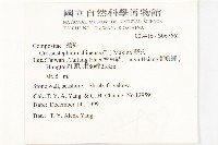 蘄艾、芙蓉菊藏品圖，第2張