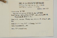 蘭嶼裸實藏品圖，第2張