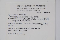 爬森藤藏品圖，第2張