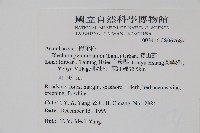 賽山藍藏品圖，第2張