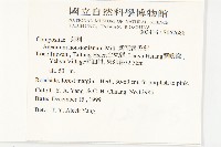 紫花霍香薊藏品圖，第2張