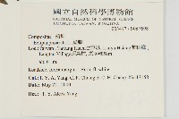 鱧腸藏品圖，第5張