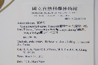 蘭嶼牛皮消、蘭嶼白薇藏品圖，第2張