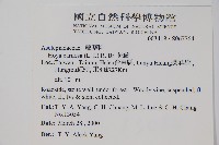 毬蘭藏品圖，第2張