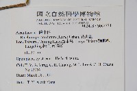 賽山藍藏品圖，第2張