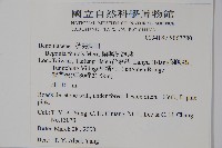 蘭嶼秋海棠藏品圖，第2張