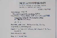 爬森藤藏品圖，第2張