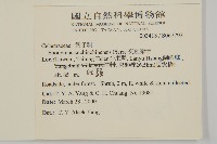 交趾衛矛藏品圖，第5張