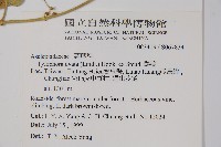 鷗蔓藏品圖，第2張