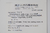 小錦蘭藏品圖，第2張