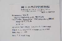 蘭嶼厚殼樹藏品圖，第2張