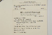 日本賽衛矛、日本假衛矛藏品圖，第2張