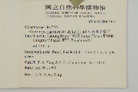 日本賽衛矛、日本假衛矛藏品圖，第2張