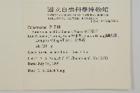 交趾衛矛藏品圖，第2張