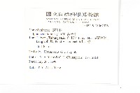 海牽牛藏品圖，第2張