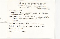 田代氏澤蘭藏品圖，第2張