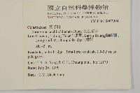 交趾衛矛藏品圖，第2張