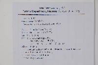 酸藤藏品圖，第2張