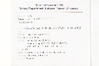 濕生葶藶藏品圖，第2張