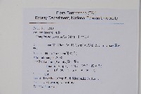 假千日紅藏品圖，第2張