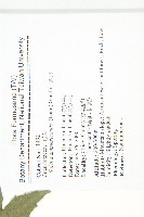 茅瓜藏品圖，第2張