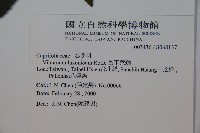 呂宋莢迷藏品圖，第2張